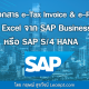 วิธีสร้างเอกสาร e-Tax Invoice & e-Receipt ด้วยไฟล์ Excel จากระบบ SAP Business One หรือ SAP S/4 HANA